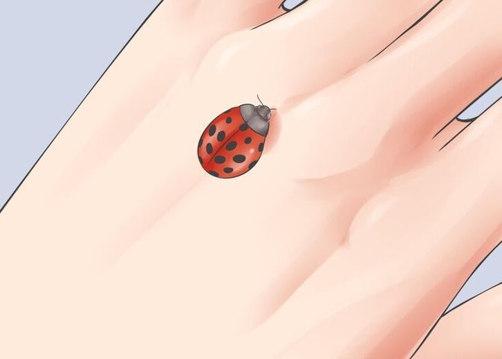 ladybug as a good luck talisman