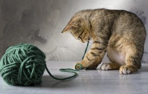 Kitten playing with ball of yarn